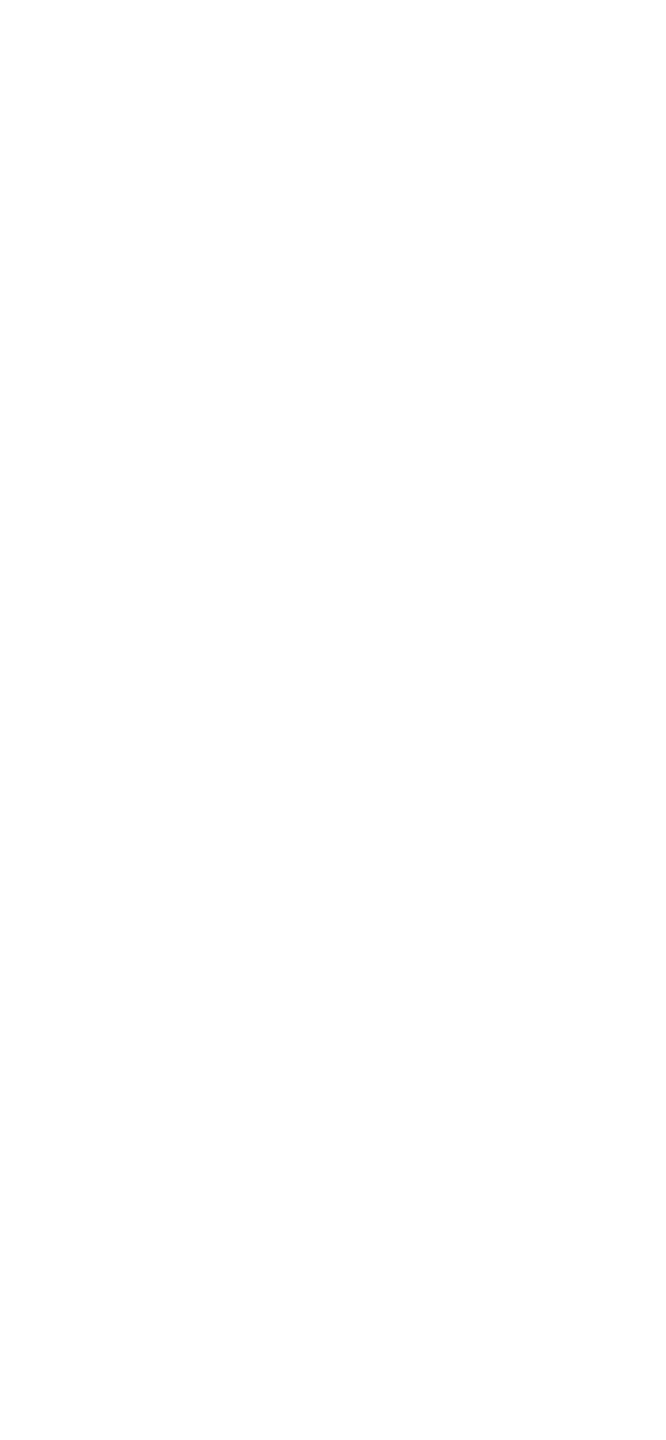 Dingo